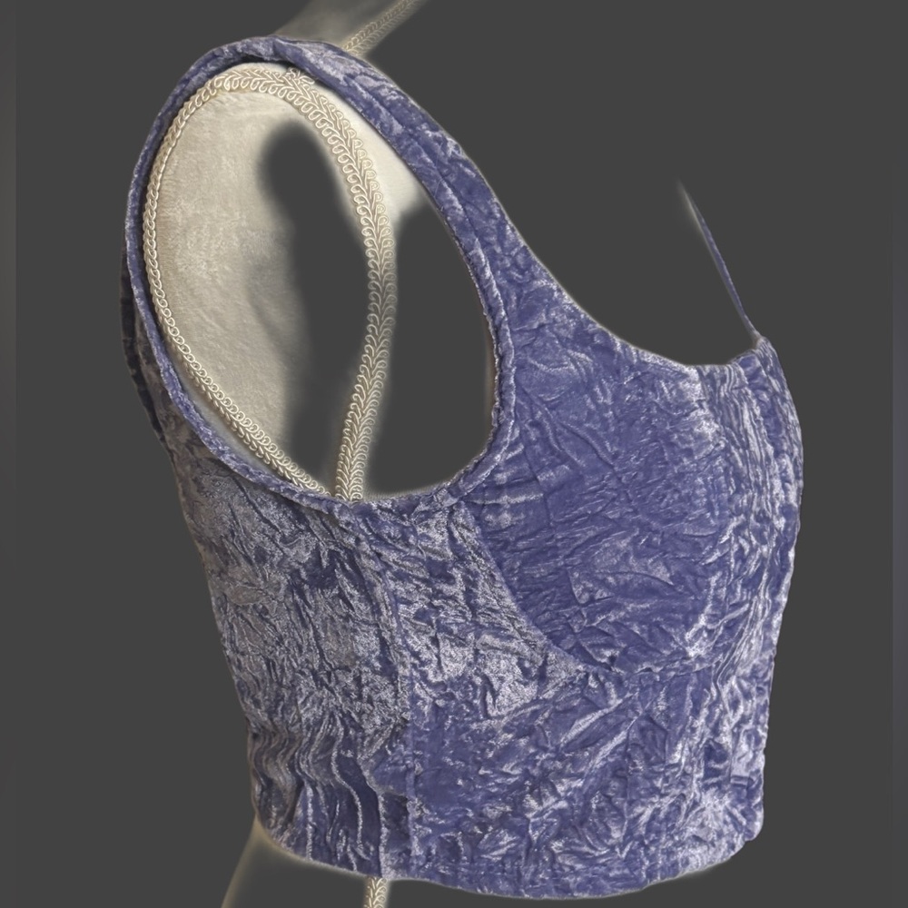 Wild Fable Crushed Velvet Purple Corset Tank - Picture 4 of 7